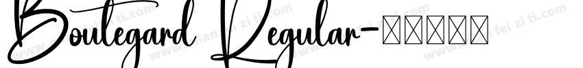Boutegard Regular字体转换